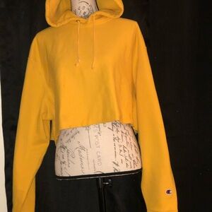 Champion crop top hoodie